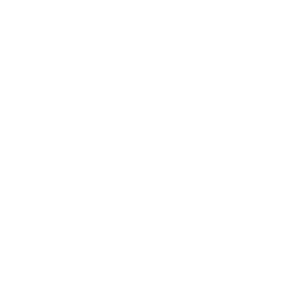 logo Lapa Lapa